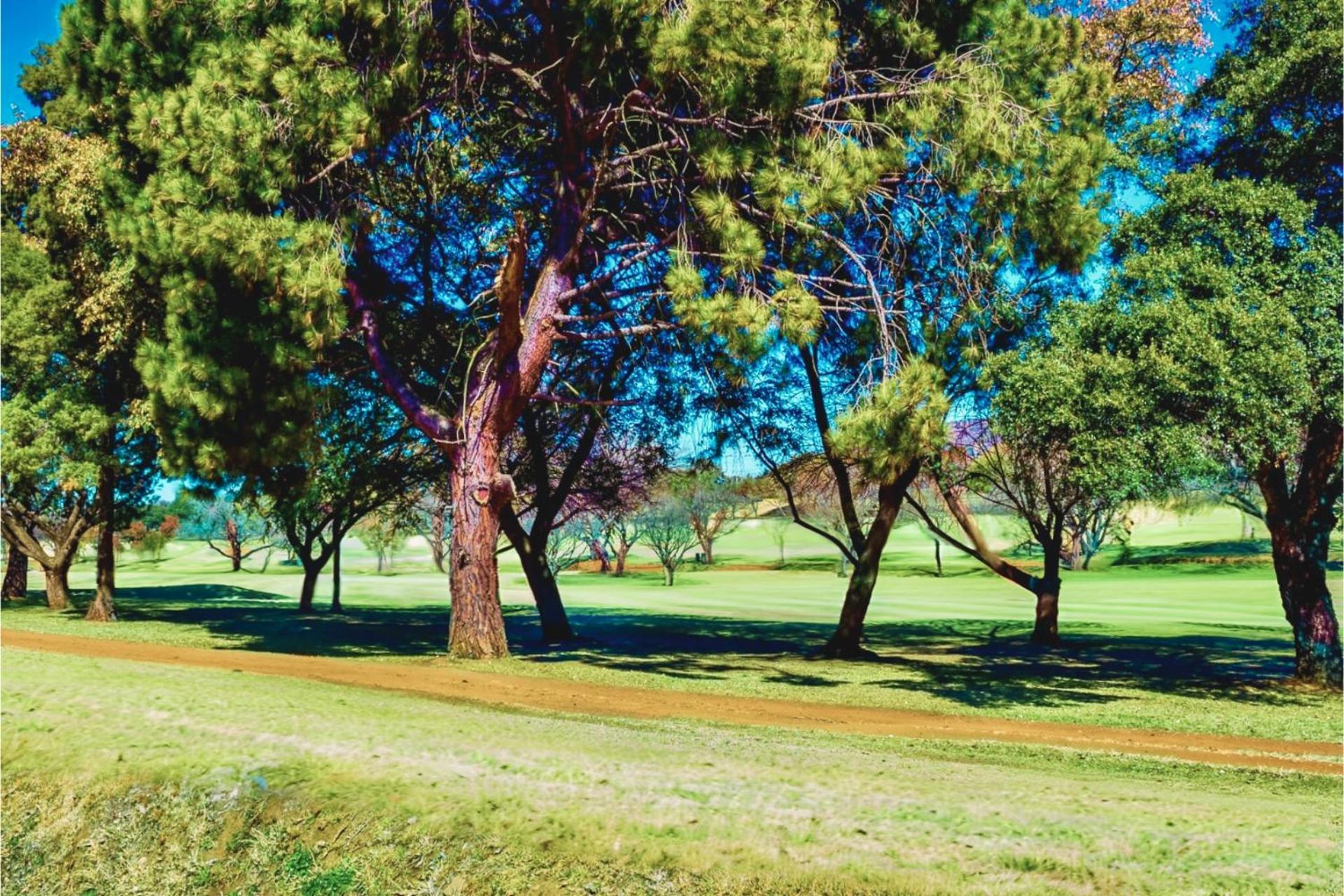 Glendower View Guest House Edenvale Dış mekan fotoğraf