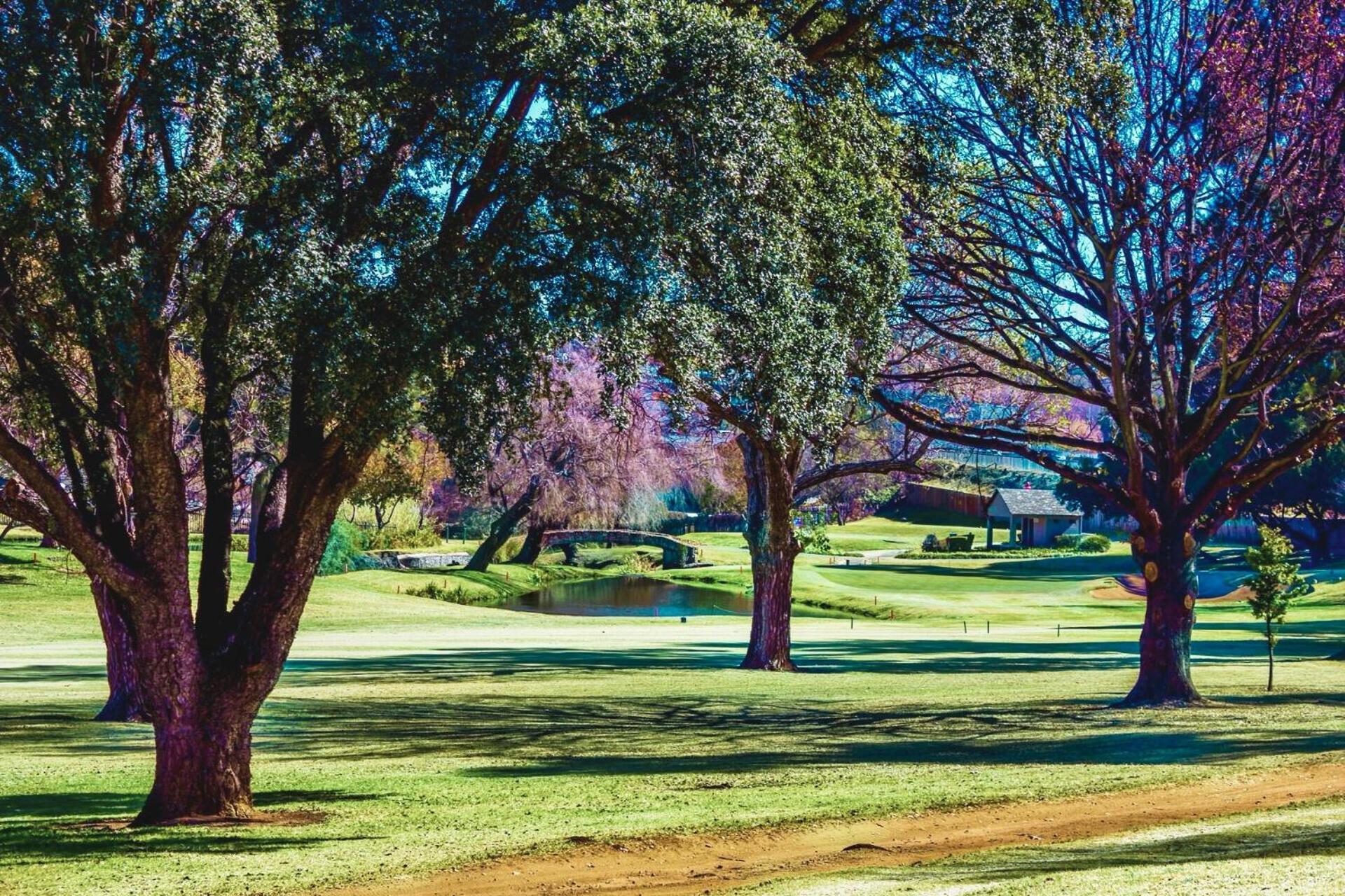 Glendower View Guest House Edenvale Dış mekan fotoğraf